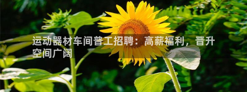 意昂3娱乐代理怎么样：运动器材车间普工招聘：高薪福利