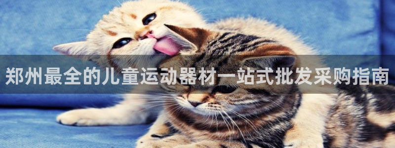 意昂体育3娱乐：郑州最全的儿童运动器材一站式批发采购