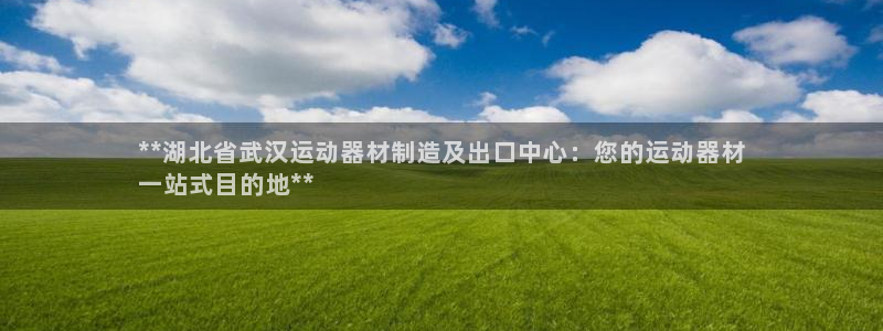 意昂体育3：**湖北省武汉运动器材制造及出口中心：您