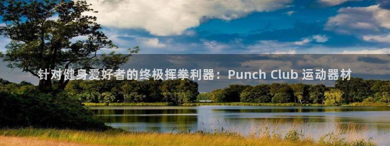 意昂体育3：针对健身爱好者的终极挥拳利器：Punch