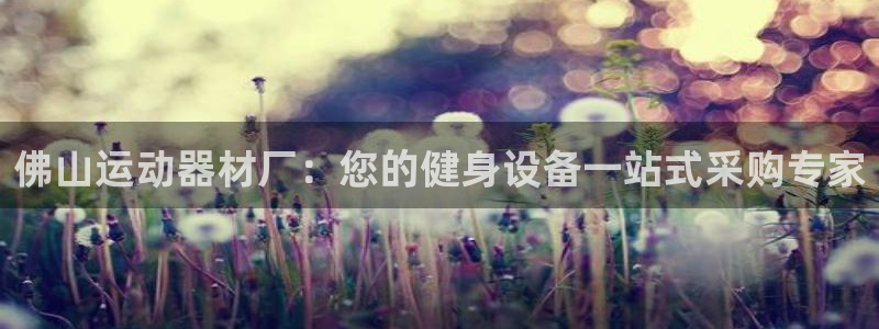 意昂体育3平台注册流程图：佛山运动器材厂：您的健身设