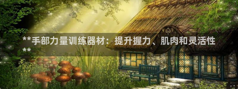 意昂3集团：**手部力量训练器材：提升握力、肌肉和灵