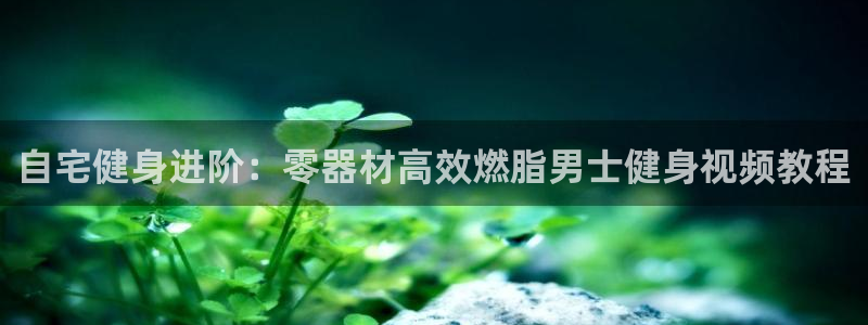 意昂体育3招商电话：自宅健身进阶：零器材高效燃脂男士