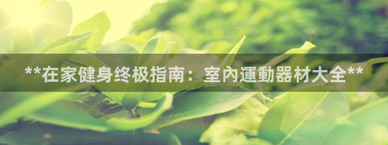 意昂3集团logo：**在家健身终极指南：室內運動器