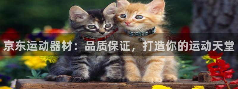 德国意昂3集团：京东运动器材：品质保证，打造你的运动天堂