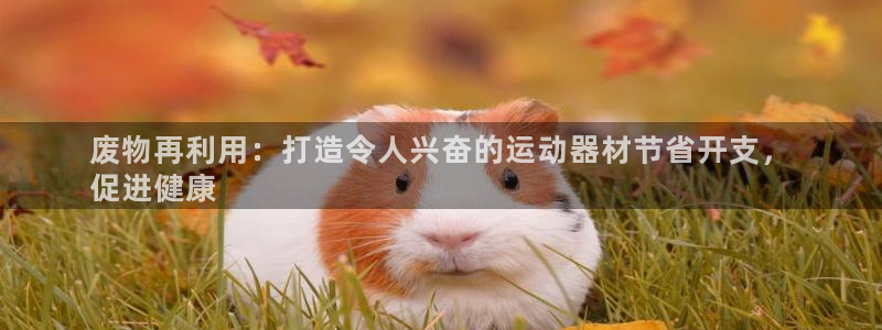 意昂体育3招商电话号码是多少：废物再利用：打造令人兴