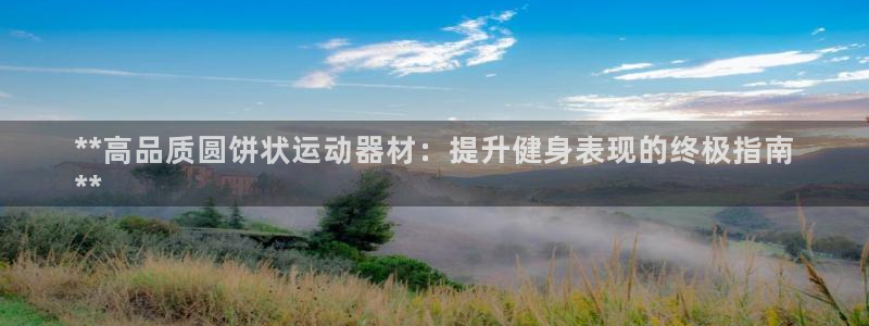 意昂3集团：**高品质圆饼状运动器材：提升健身表现的