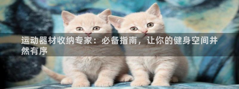 意昂3娱乐代理怎么样：运动器材收纳专家：必备指南，让