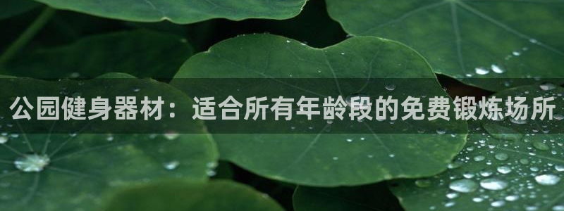 意昂体育3平台是正规平台吗：公园健身器材：适合所有年
