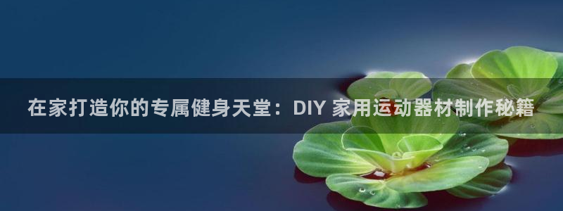 注册意昂3：在家打造你的专属健身天堂：DIY 家用运