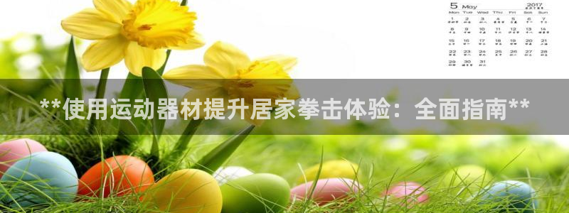 意昂3集团E.ON：**使用运动器材提升居家拳击体验