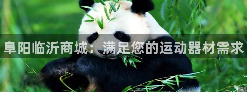意昂体育3平台注册：阜阳临沂商城：满足您的运动器材需求