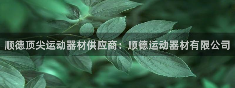 意昂3集团logo：顺德顶尖运动器材供应商：顺德运动