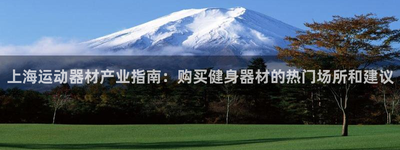 德国意昂3集团：上海运动器材产业指南：购买健身器材的