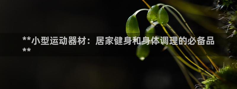 意昂体育3平台注册要钱吗安全吗：**小型运动器材：居