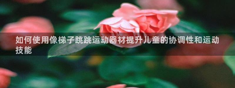 意昂体育3开户：如何使用像梯子跳跳运动器材提升儿童的协调性和