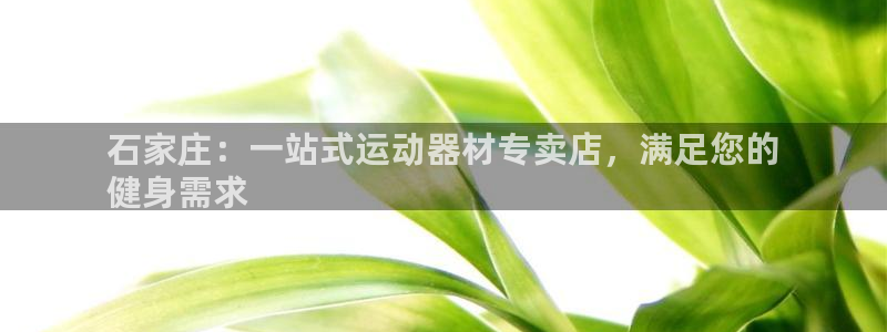 意昂3娱乐首页官网下载：石家庄：一站式运动器材专卖店