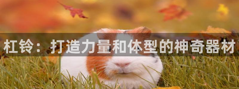 意昂体育3平台APP：杠铃：打造力量和体型的神奇器材