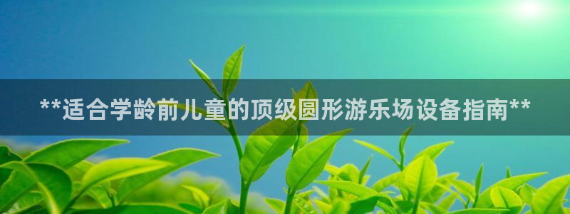 意昂3开户：**适合学龄前儿童的顶级圆形游乐场设备指