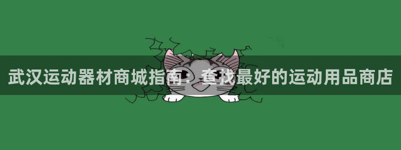 意昂体育3是干嘛的公司：武汉运动器材商城指南：查找最好的运动