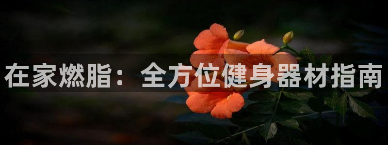 意昂3娱乐平台：在家燃脂：全方位健身器材指南