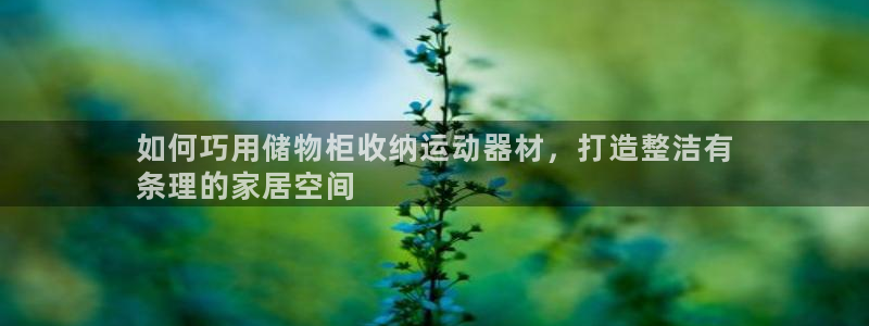 意昂体育3平台假的吗是真的吗吗：如何巧用储物柜收纳运