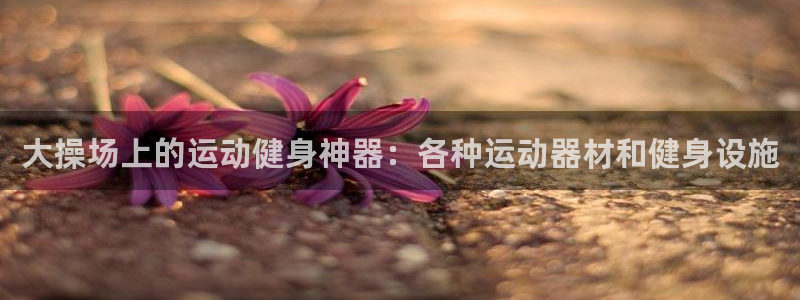意昂3娱乐：大操场上的运动健身神器：各种运动器材和健