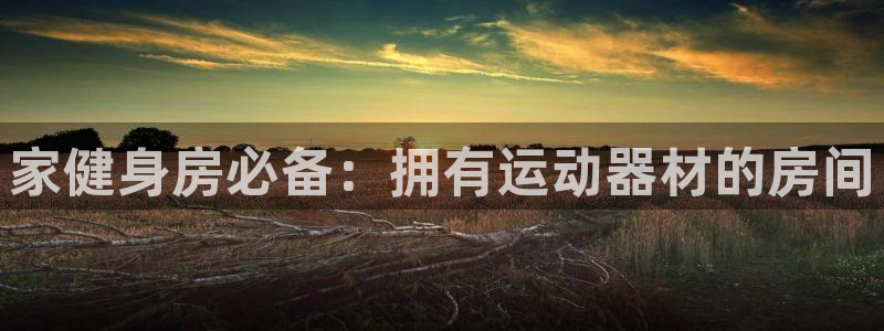 海南意昂体育3：家健身房必备：拥有运动器材的房间