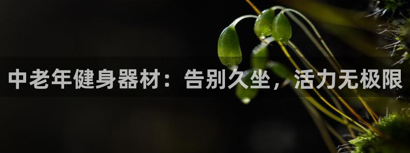 注册意昂3：中老年健身器材：告别久坐，活力无极限