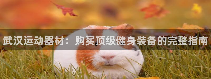 意昂集团官网：武汉运动器材：购买顶级健身装备的完整指