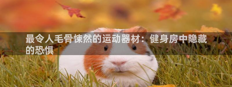 意昂体育3平台注册要钱吗安全吗：最令人毛骨悚然的运动