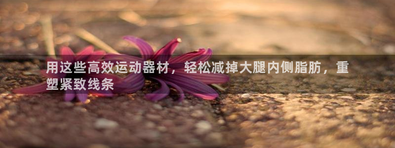 意昂体育3招商电话是多少啊：用这些高效运动器材，轻松