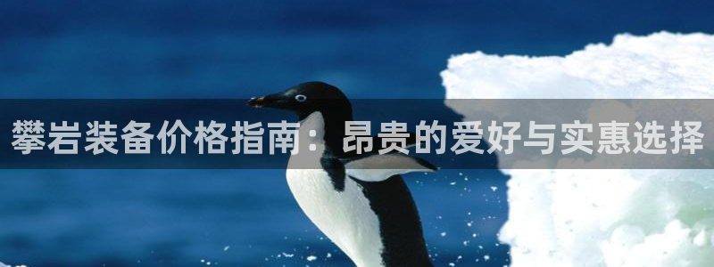 意昂体育3招商电话号码：攀岩装备价格指南：昂贵的爱好