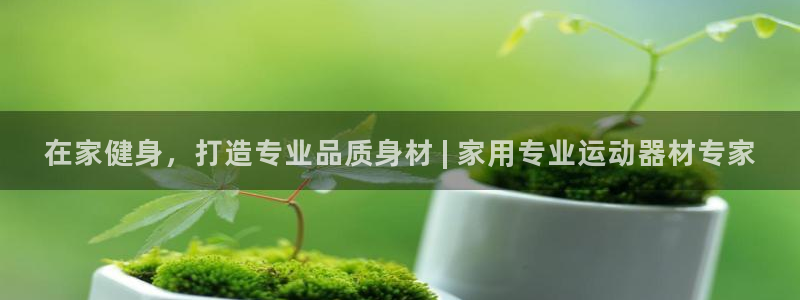 意昂3官网：在家健身，打造专业品质身材 | 家用专业