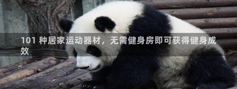 意昂体育3平台注册要钱吗：101 种居家运动器材，无