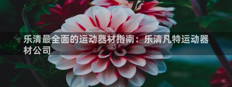 意昂体育3招商电话是多少号码：乐清最全面的运动器材指