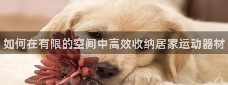 意昂体育3招商：如何在有限的空间中高效收纳居家运动器
