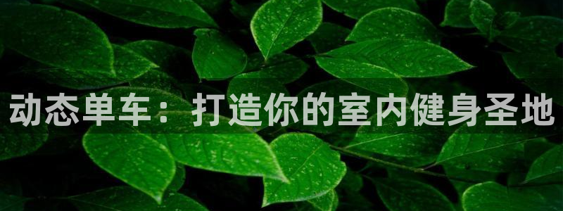 意昂3新能源：动态单车：打造你的室内健身圣地