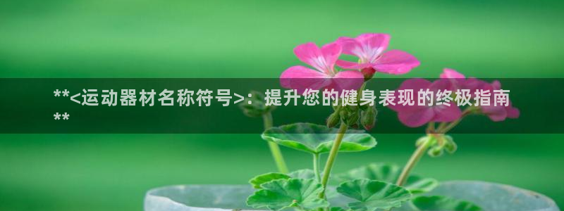 意昂3娱乐代理怎么样：**<运动器材名称符号>：提升