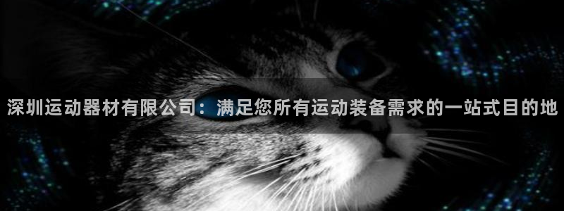 意昂体育3：深圳运动器材有限公司：满足您所有运动装备