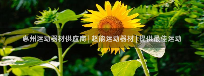 意昂3娱乐网站：惠州运动器材供应商 | 超能运动器材