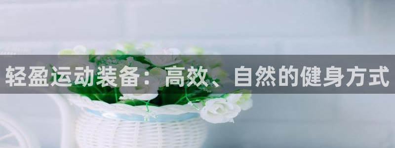 意昂3新能源