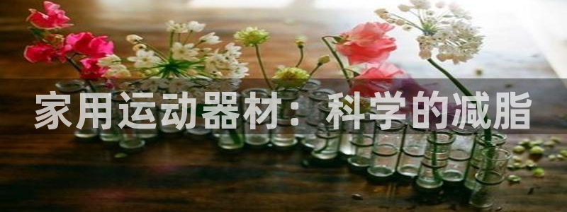 德国意昂3集团