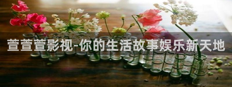 晴天影视在线免费观看