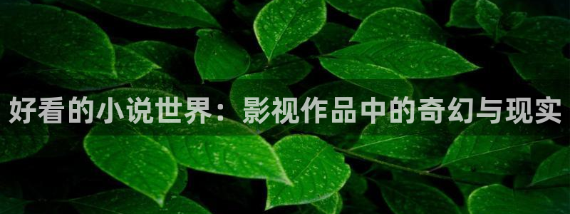 晴天影视正版
