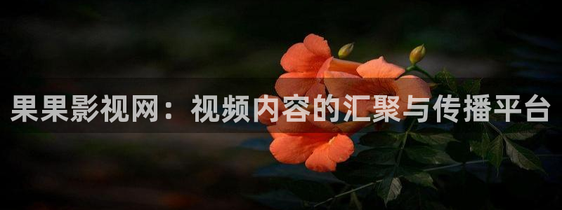 晴天影院免费观看电视剧高清