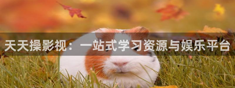 晴天影视在线播放免费