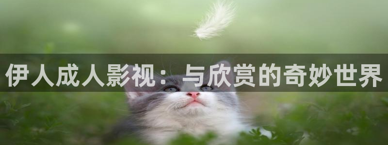 晴天影视在线观看：伊人成人影视：与欣赏的奇妙世界
