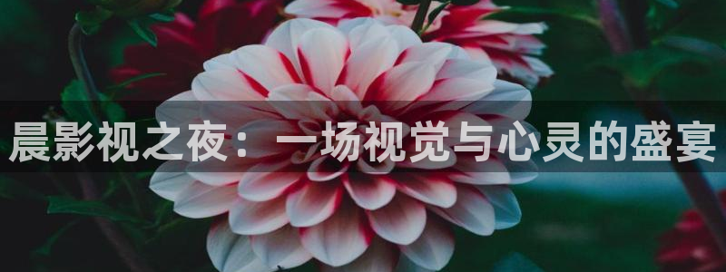 晴天影视高清