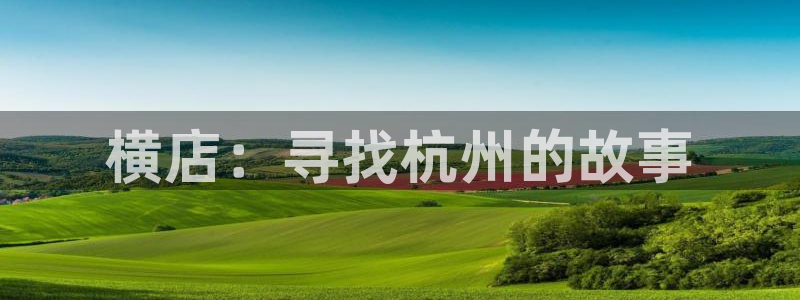 夏日友晴天电影中文版